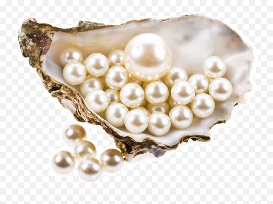 Pearl Png Download Free Hq Png Image - Transparent Background Pearls Png Emoji,Pearls Png