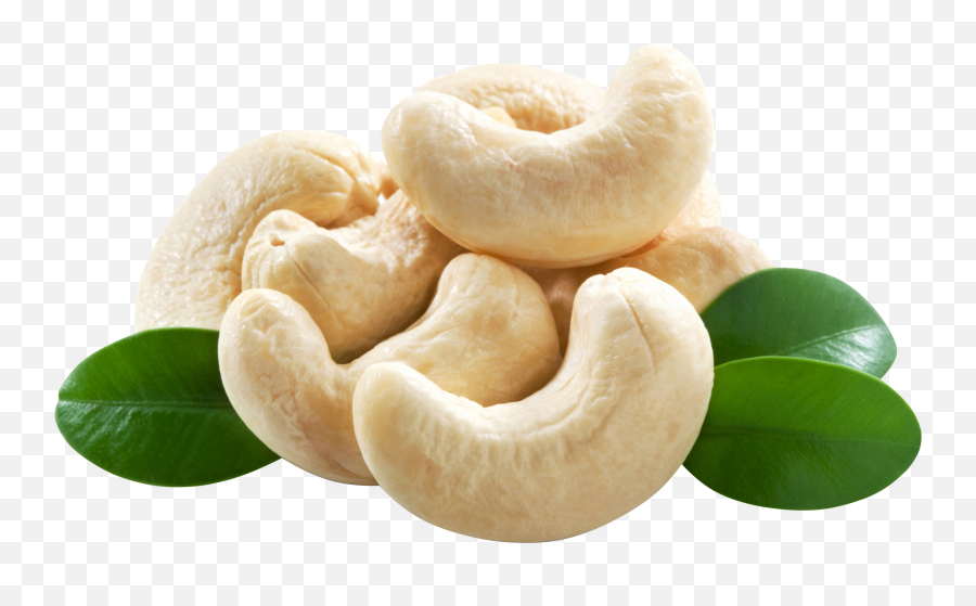 Cashew Nut Png - Cashew Nuts Png Emoji,Nuts Png