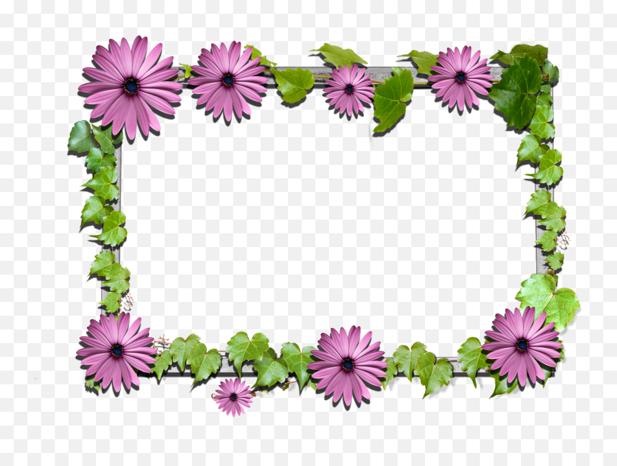 Library Of Free Flower Frame Download Png Files - Moldura De Foto Sem Fundo Emoji,Floral Frame Png