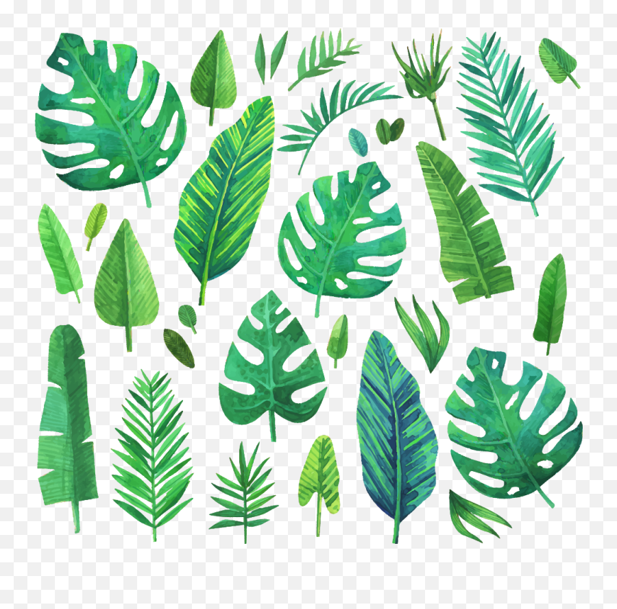 Download Hd Jungle Jungleleaf Jungleleaves Leaf Leaves - Watercolor Leaf Painting Emoji,Jungle Leaves Png