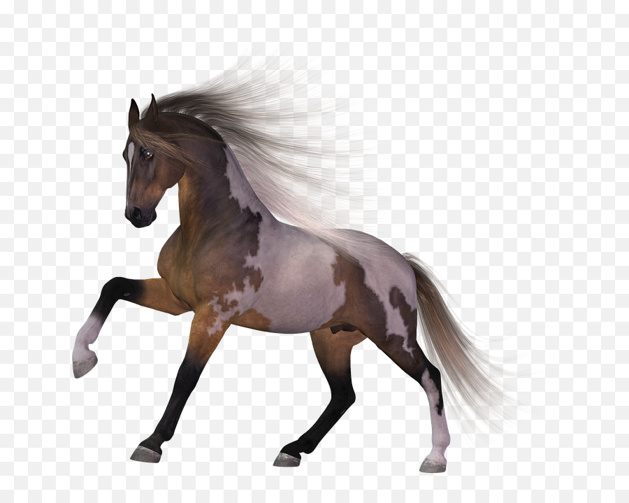 Download Download Horse Png Transparent Images Transparent - Transparent Background Horse Png Hd Emoji,Horse Png
