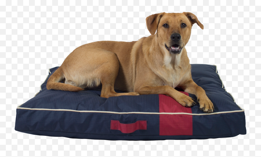 Serta Indooroutdoor Bed - Nvm Petnvm Pet Dog Bed Emoji,Bed Transparent Background