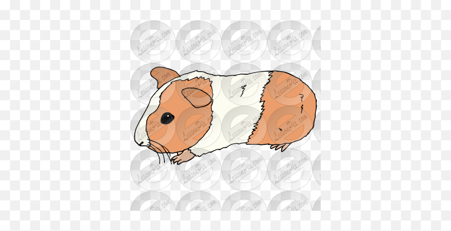 Guinea Pig Picture For Classroom Emoji,Guinea Pig Clipart