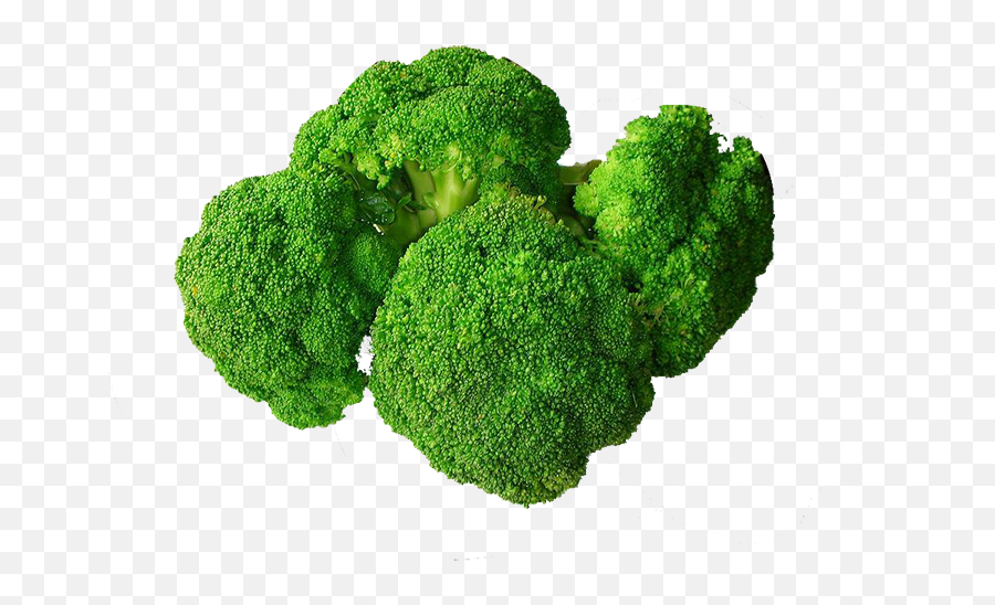 Broccoli Png - Broccoli Emoji,Broccoli Png