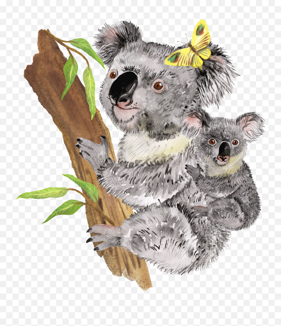 Koala Watercolor Clipart Koala Family Australia Animals - Soft Emoji,Koala Clipart