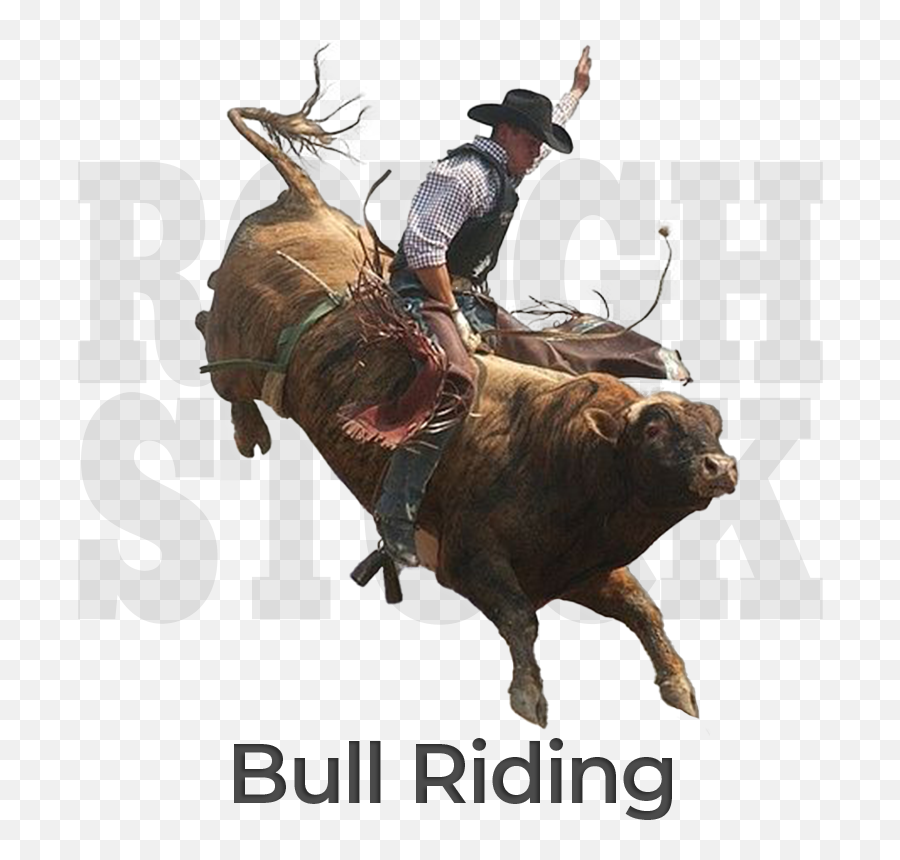 Rodeo Mart Americau0027s Original Rodeo Store Emoji,Bull Riding Logo