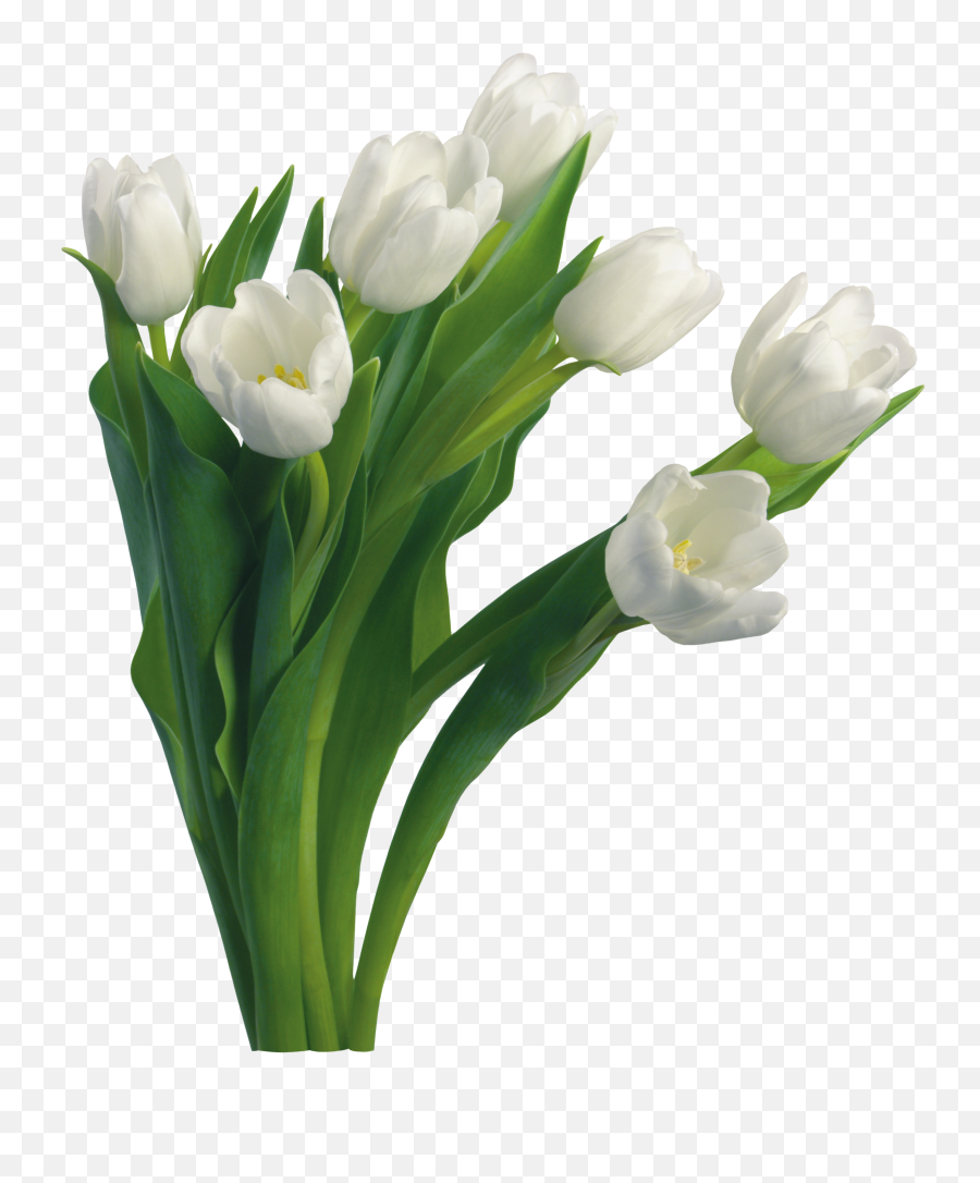 Bouquet Of Flowers Png Alpha Channel Clipart Images - White Flowers Transparent Background Png Emoji,Flower Bouquet Clipart