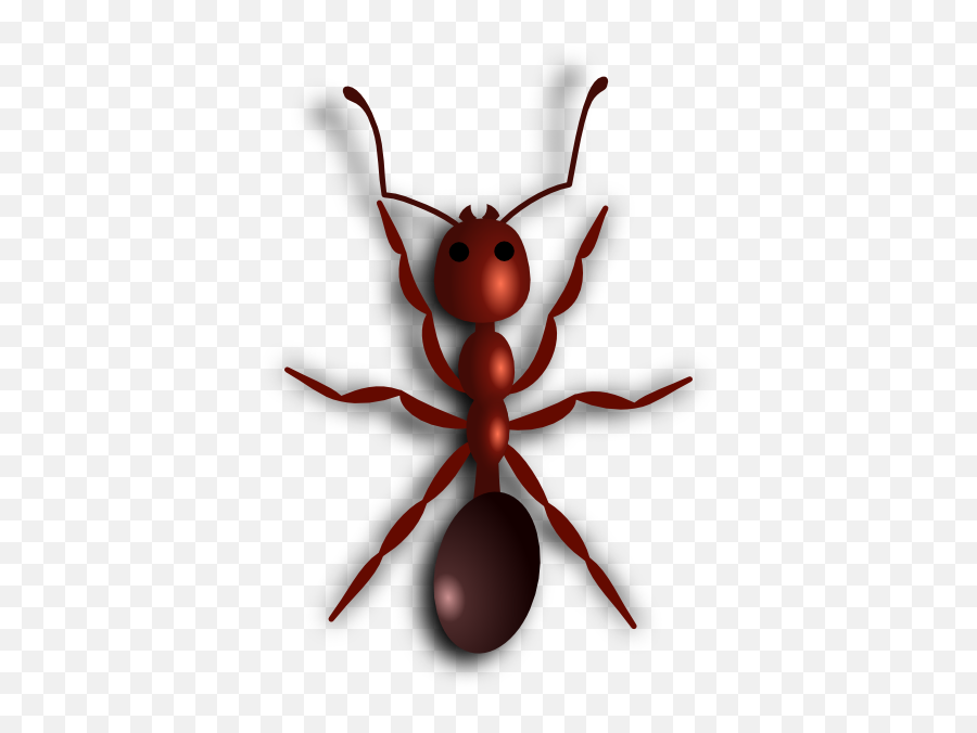 Fire Ant Clip Art At Clker - Fire Ant Clipart Emoji,Ant Clipart