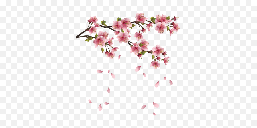 Branch And Flowers Transparent Png - Stickpng Emoji,Flower Bush Png