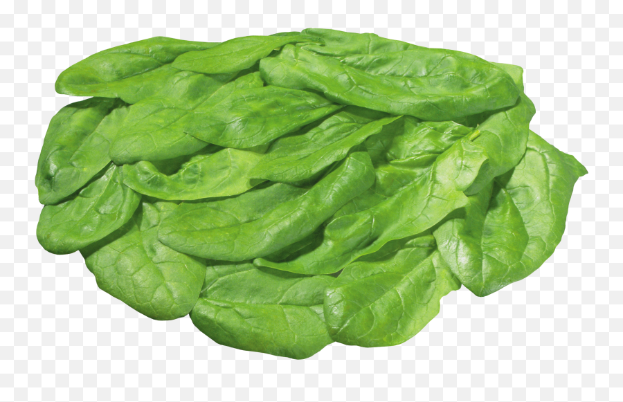 Salad - Lettuce Leaves Transparent Background Transparent Emoji,Lettuce Clipart