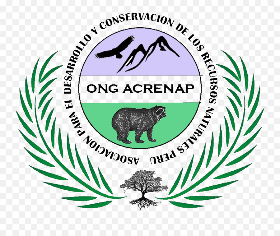 Ngo Acrenap U2013 Association - Ngo Acrenap Emoji,Amazon Logo Gif