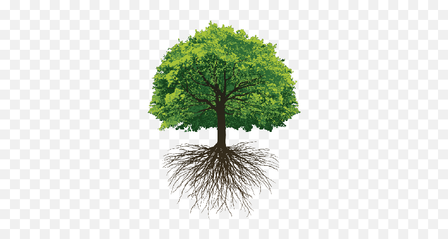 Download Great Oak Roots Emoji,Oak Tree Png