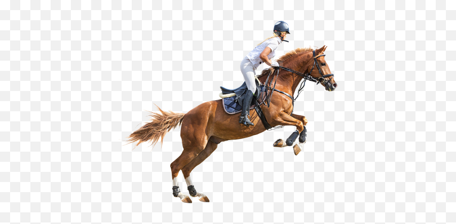 Man Riding Horse Png Full Size Png Download Seekpng - Horse Riding Png Emoji,Horse Png