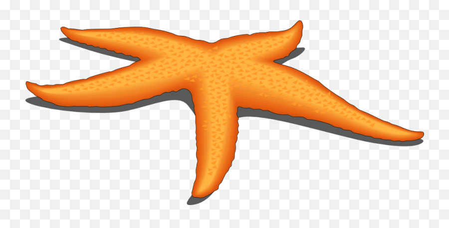Clipart Of Owner Compound And Starfish The - Starfish Png Starfish Emoji,Star Fish Png