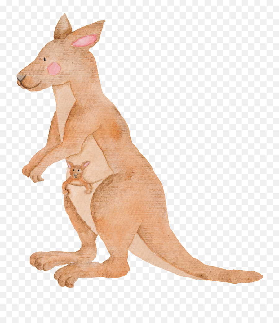 Watercolor Australian Animals Painting - Transparent Watercolor Animal Png Emoji,Transparent Animals