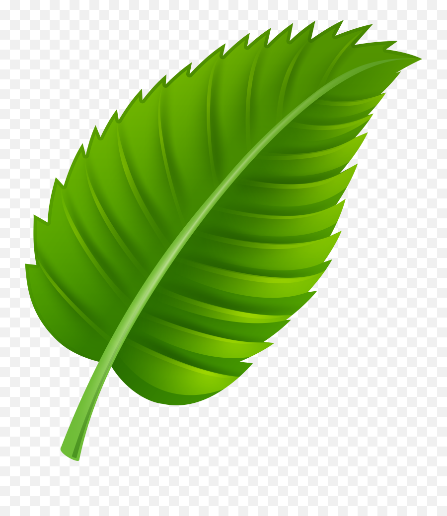 Green Leaf Png Clip Art Emoji,Leaf Clipart