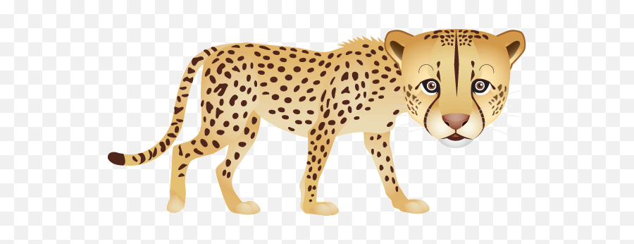 Rainforest Animals Clipart - Free Cartoon Drawings Emoji,Cheetah Clipart