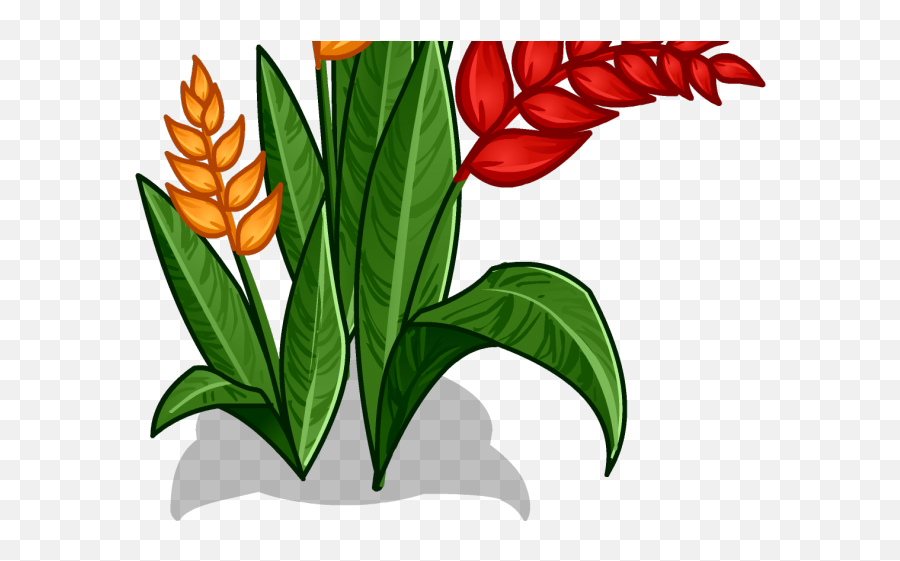 Red Flower Clipart Jungle Flower - Png Download Full Size Transparent Jungle Flower Clipart Emoji,Red Flower Png