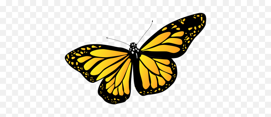 Transparent Png Svg Vector File - Yellow Butterfly Vector Png Emoji,Butterfly Transparent