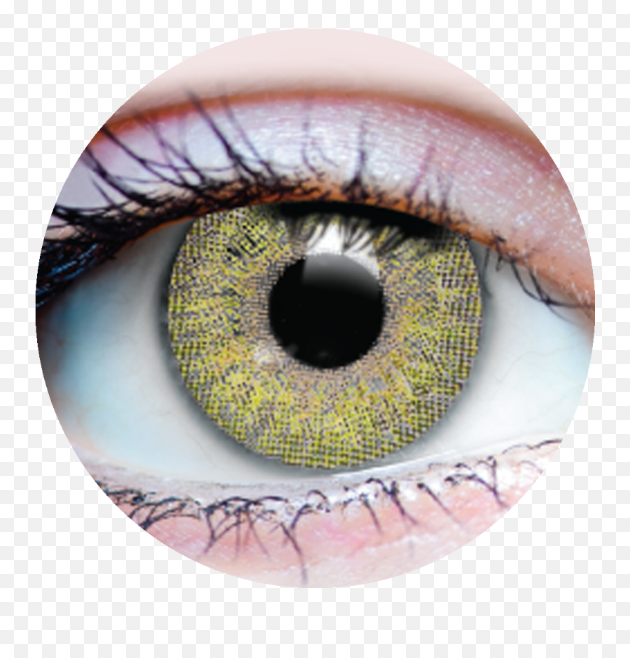Primal Grace Hazel Coloured Contact Lenses - Primal Contact Emoji,Green Eyes Png
