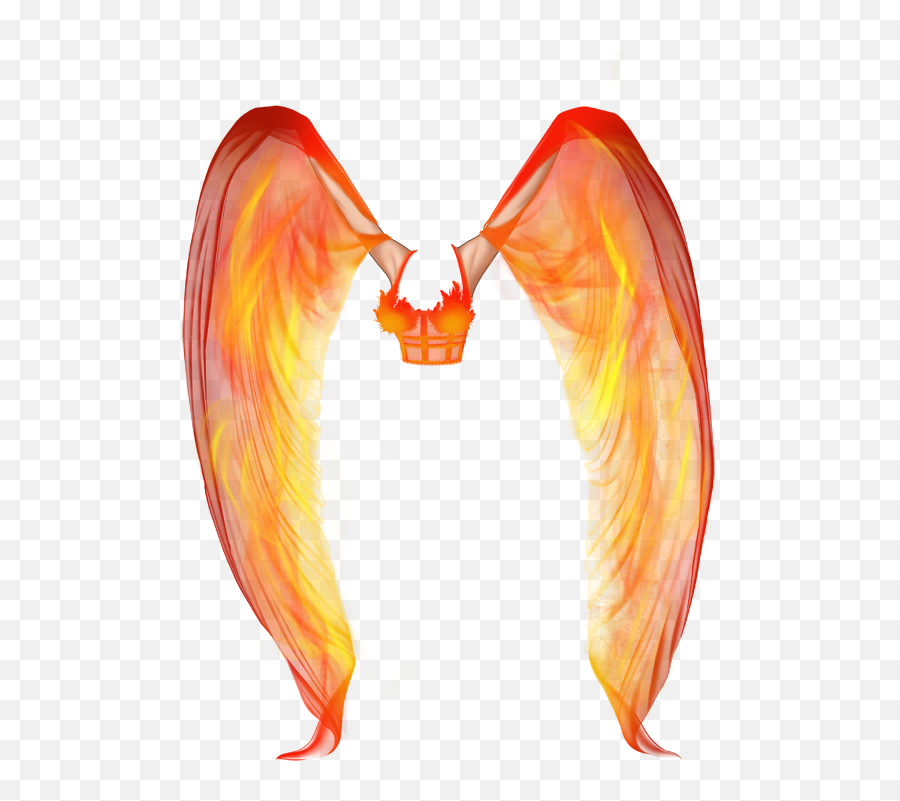 Lakhi Anney Accessorieswings Emoji,Fire Wings Png