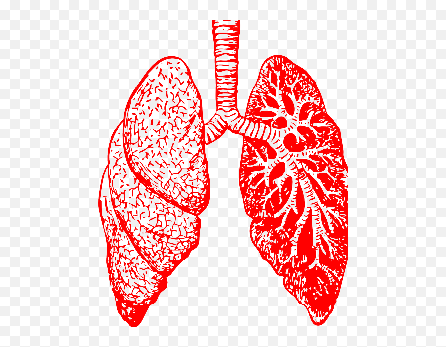 Asthma Sehatonline Lungs - Black And White Lungs Emoji,Asthma Clipart