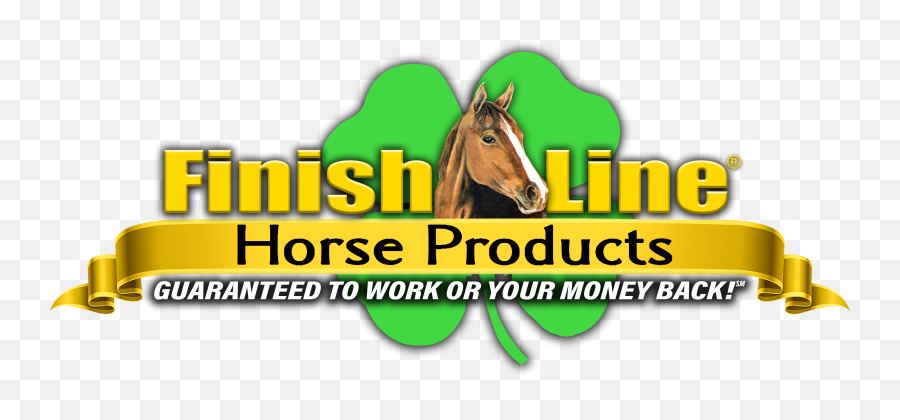 Home Ken Wold Training Stables And Stallion Services Emoji,Yellow Horse Logo