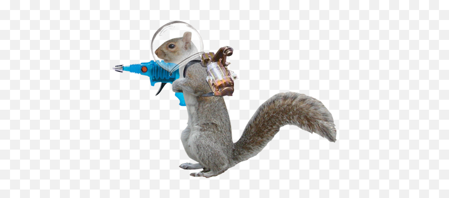 Squirrel Png Transparent Background Free Download 20501 - Laser Gun Pew Pew Emoji,Squirrel Png