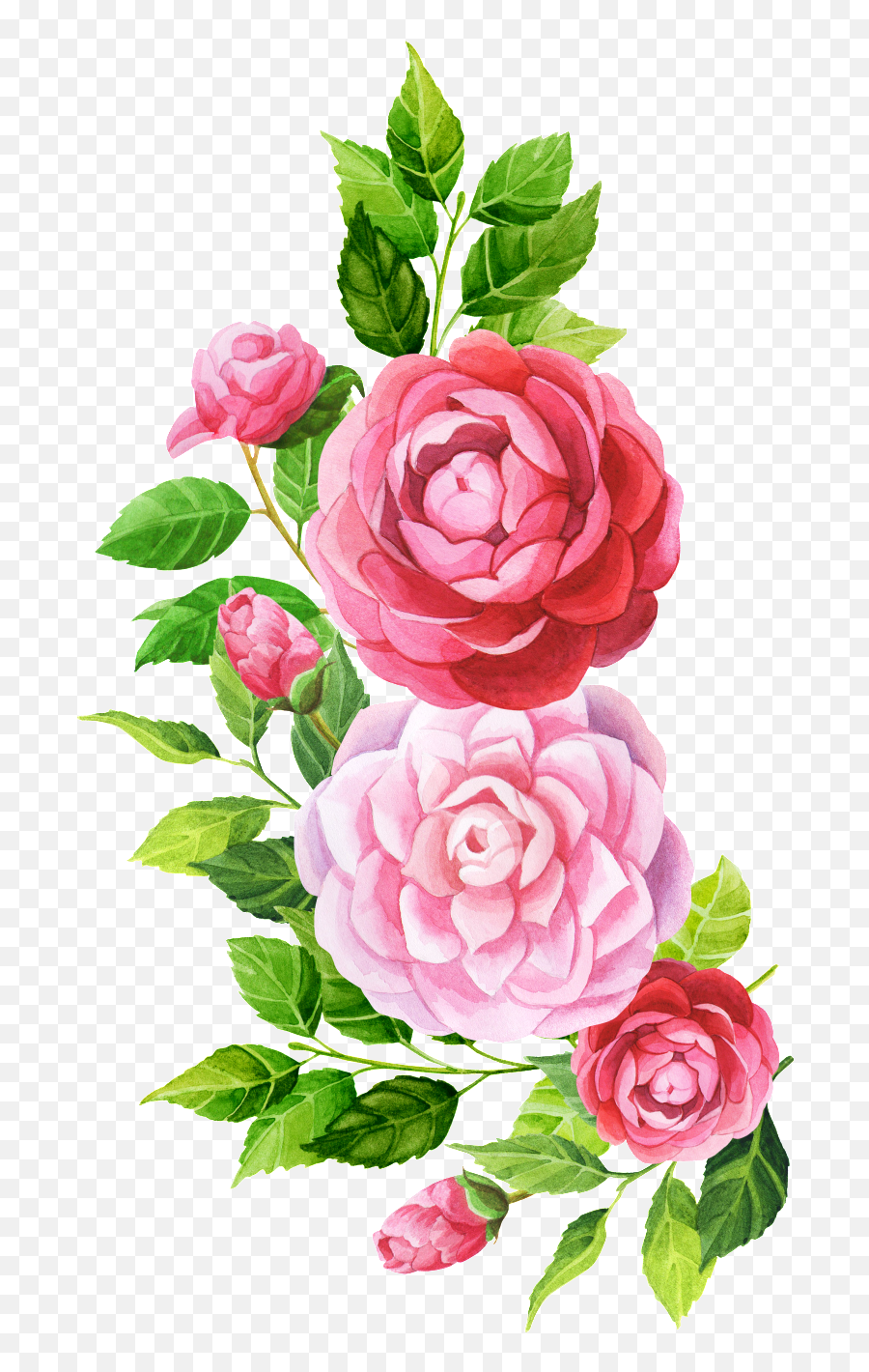 Download Hand Painted Pink Flower Png Transparent - Floral Emoji,Pink Flower Png