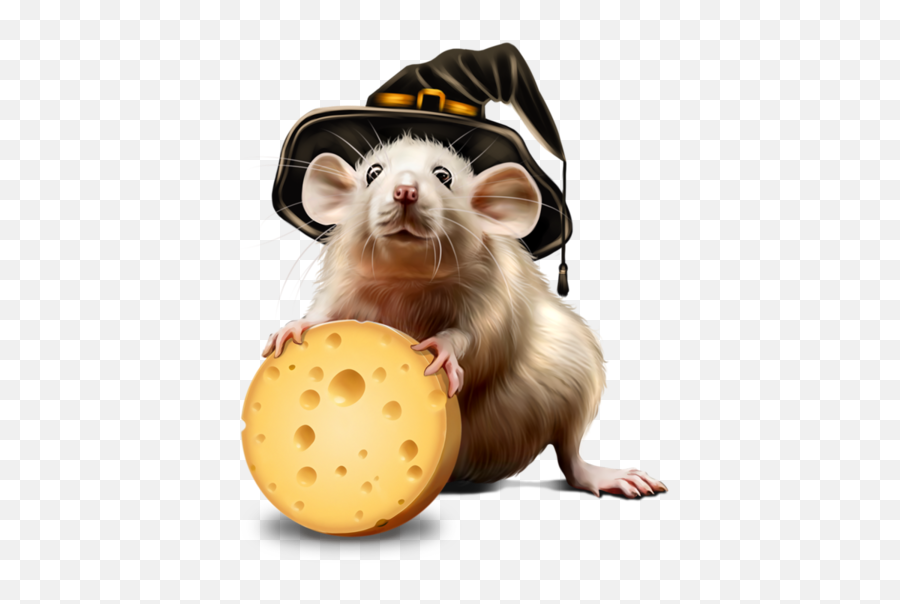 Rat Computer Mouse Mus Mouse For - Snack Emoji,Rat Transparent