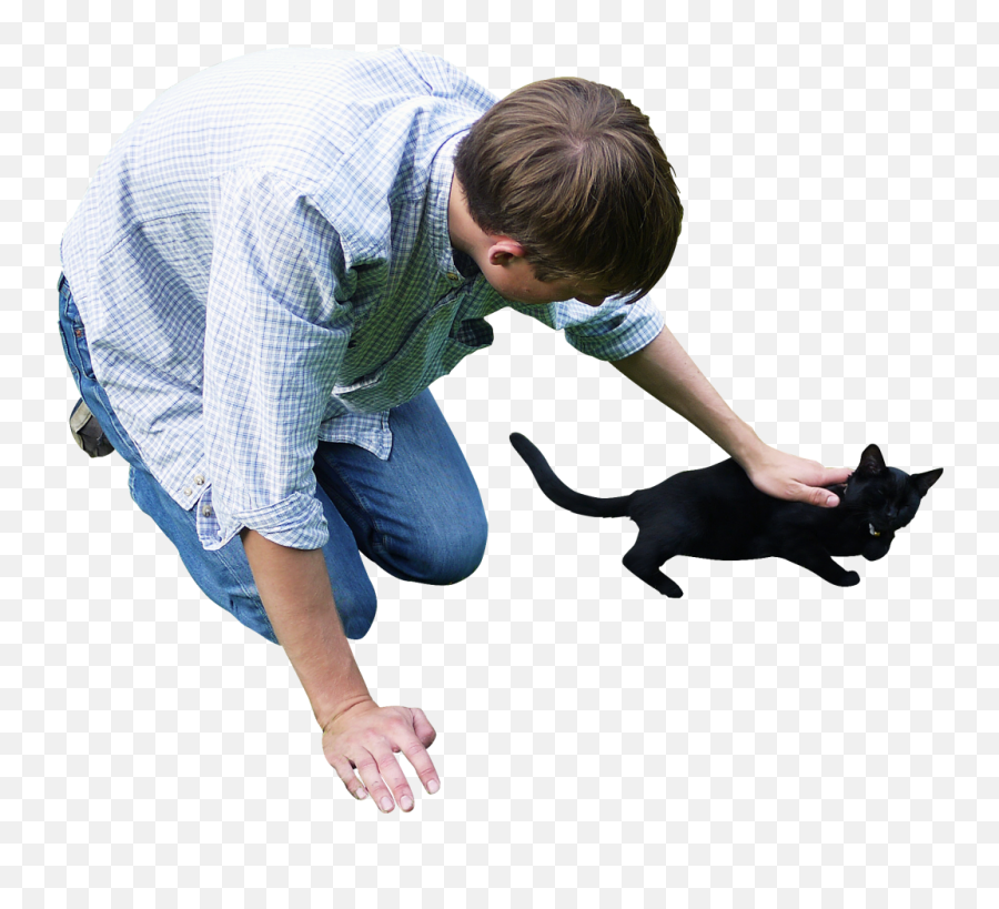 Cat Png Image - Purepng Free Transparent Cc0 Png Image Library People With Cat Png Emoji,Cats Png