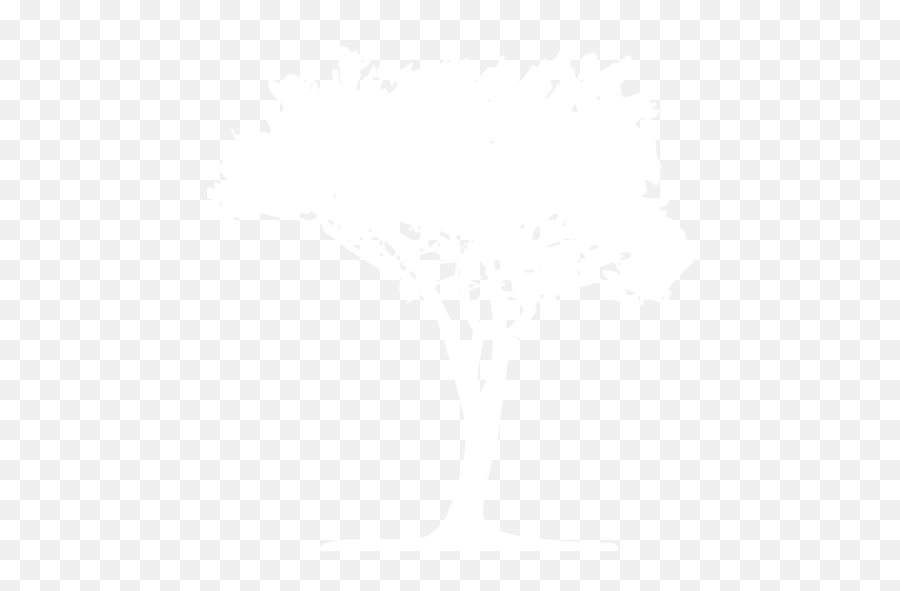 White Tree 51 Icon Emoji,White Tree Png