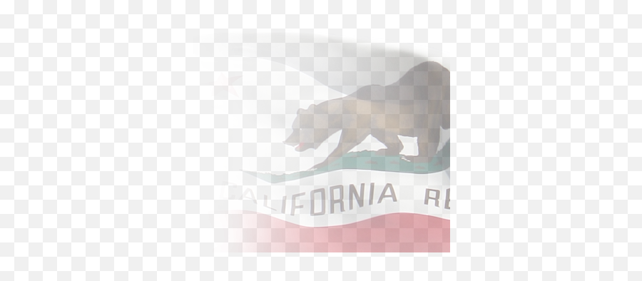 California Map Image - 165 Transparentpng Emoji,California Bear Png