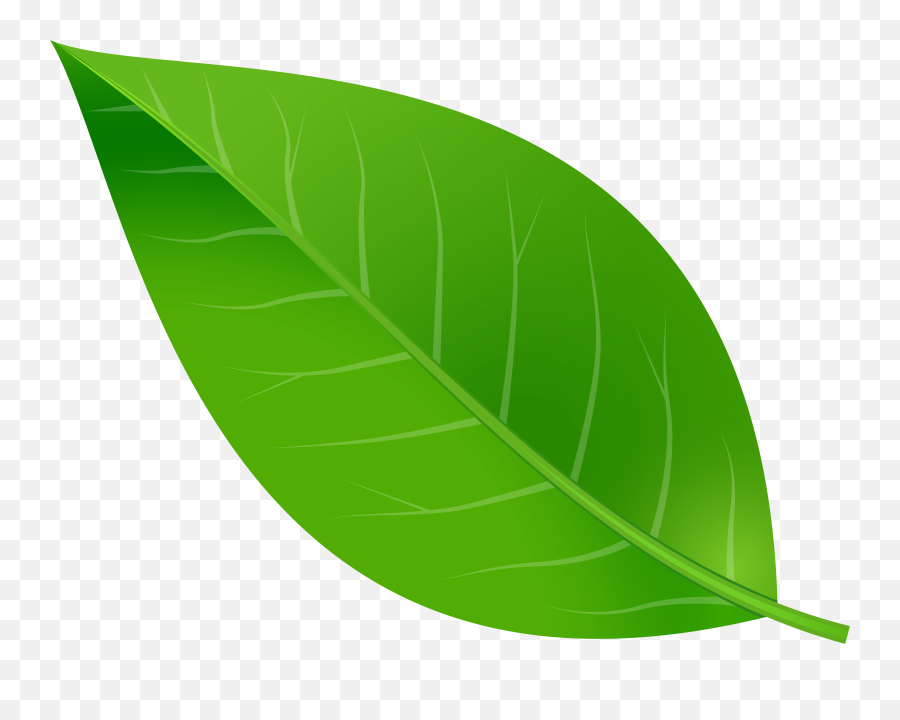Spring Leaf Transparent Png Clip Art Emoji,Leaf Clipart