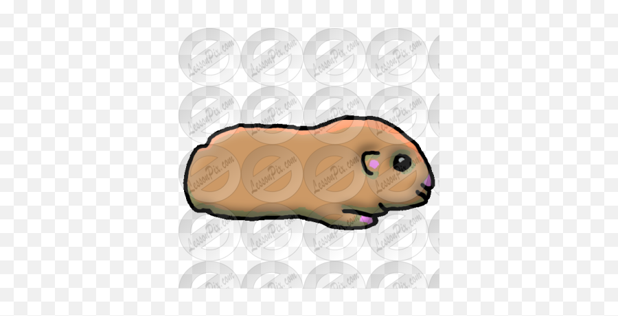 Guinea Pig Picture For Classroom - Naked Emoji,Guinea Pig Clipart