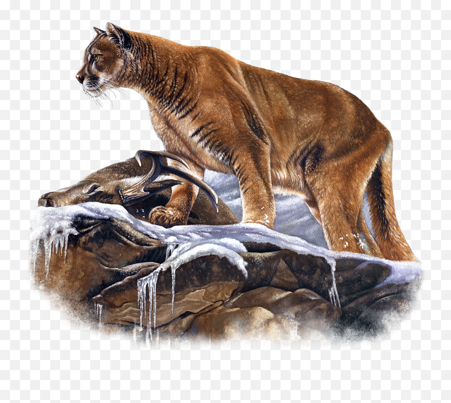 Wildlife Fabric Mountain Lion Fabric - Amazon Cougar Sticker Emoji,Mountain Lion Png