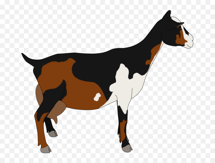 Drawing Goats Pygmy Goat - Nigerian Dwarf Goat With Emoji,Goat Transparent Background