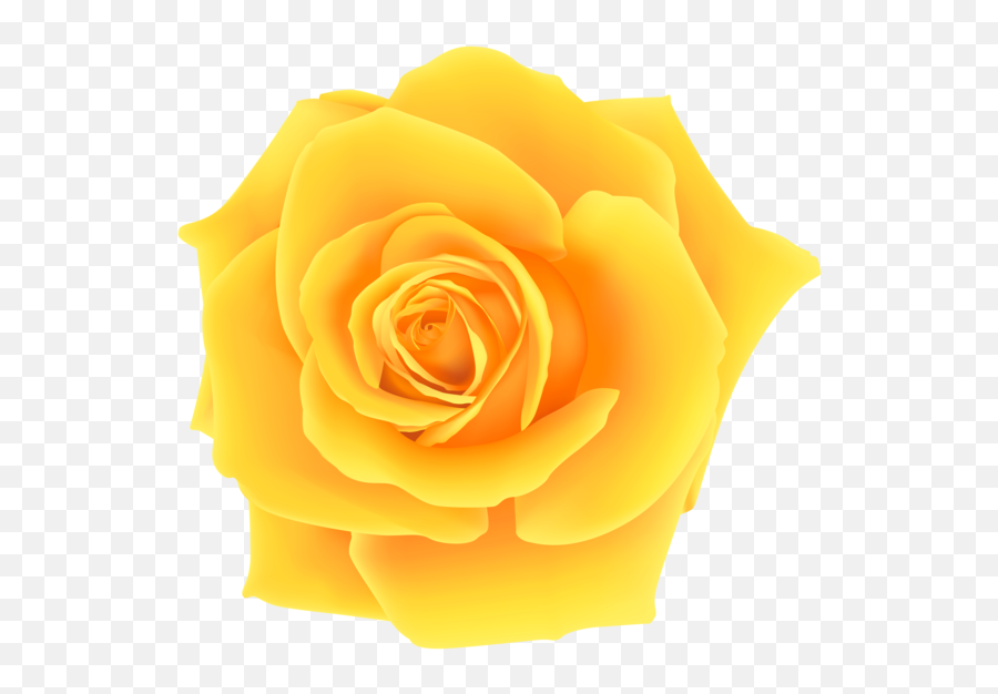 Yellow Rose Flower Peach For Valentines Day - 8000x7426 Emoji,Single Flower Png