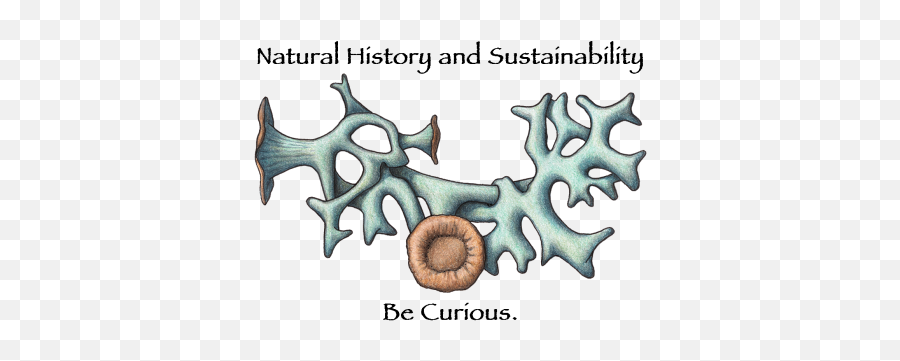Natural History U0026 Sustainability U2013 Just Another Merritt - Planet Hollywood Resort Casino Emoji,Nhs Logo
