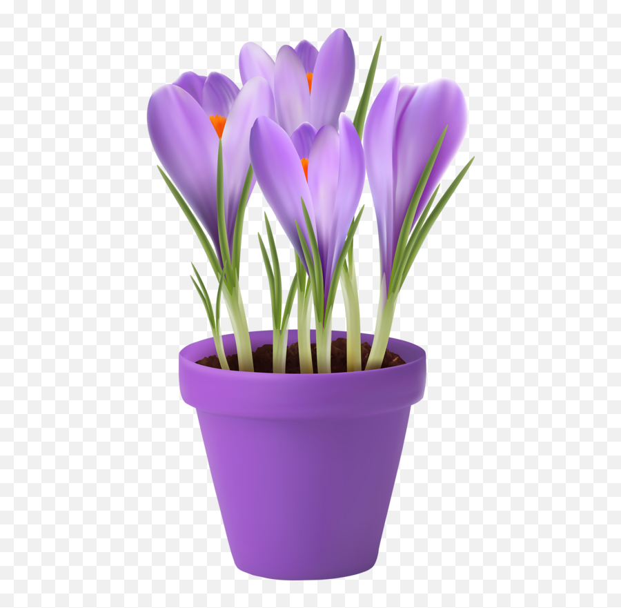 Crocus Clipart Cute Flower Garden - Spring Flowers In Pots Crocus Clipart Emoji,Flower Pot Clipart