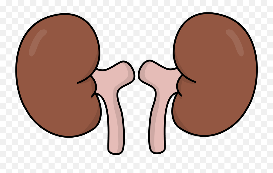 Clip Art - Cartoon Kidney Transparent Background Emoji,Kidney Clipart