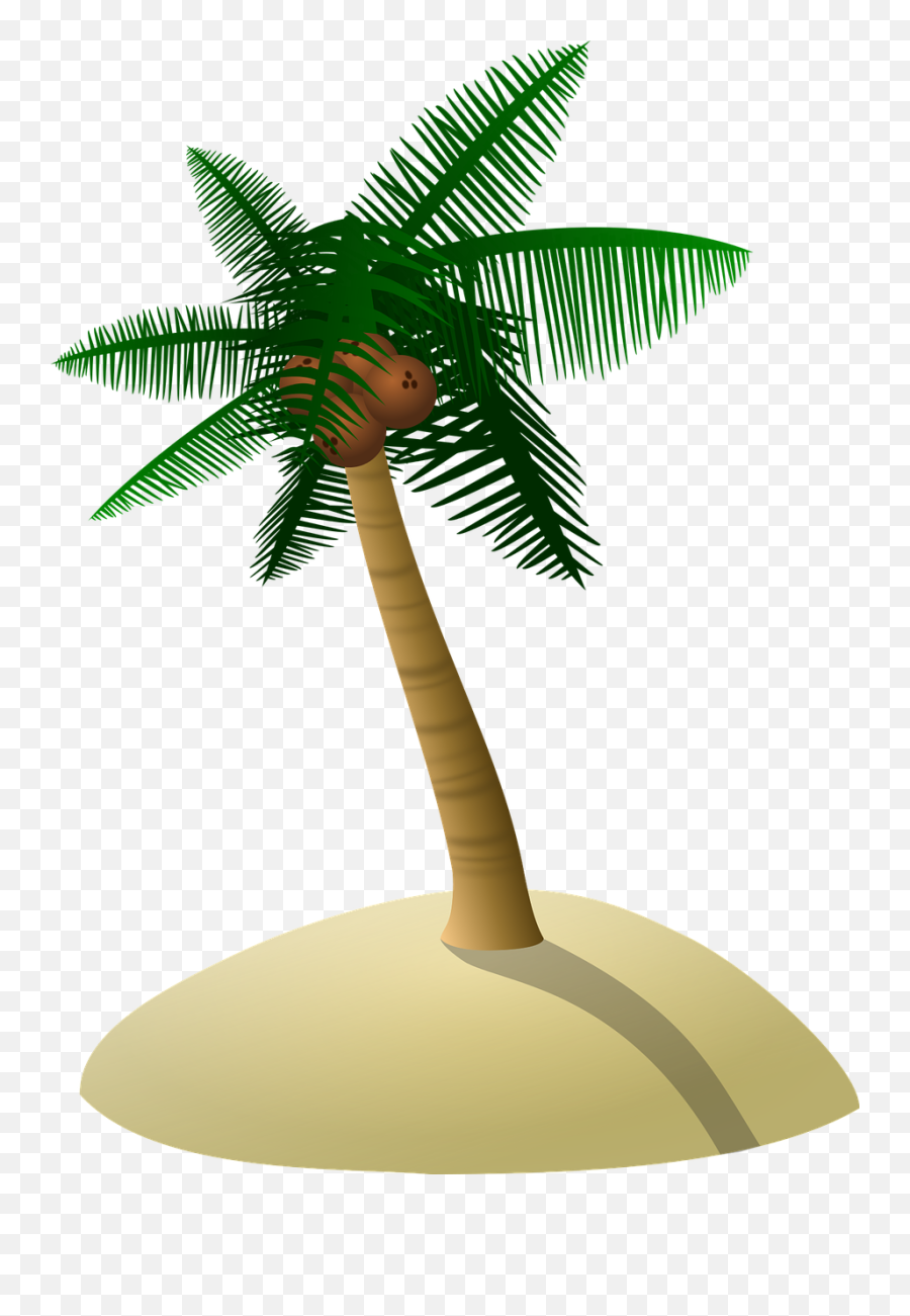 Symbol Icon Oak Tree Png Transparent - Palm Tree On Sand Png Emoji,Oak Tree Png