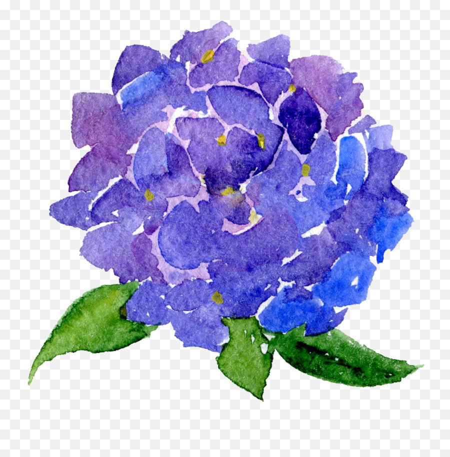 Download Hd Transparent Background Watercolor Flowers Clip - Transparent Background Transparent Purple Flowers Png Emoji,Watercolor Flowers Transparent Background