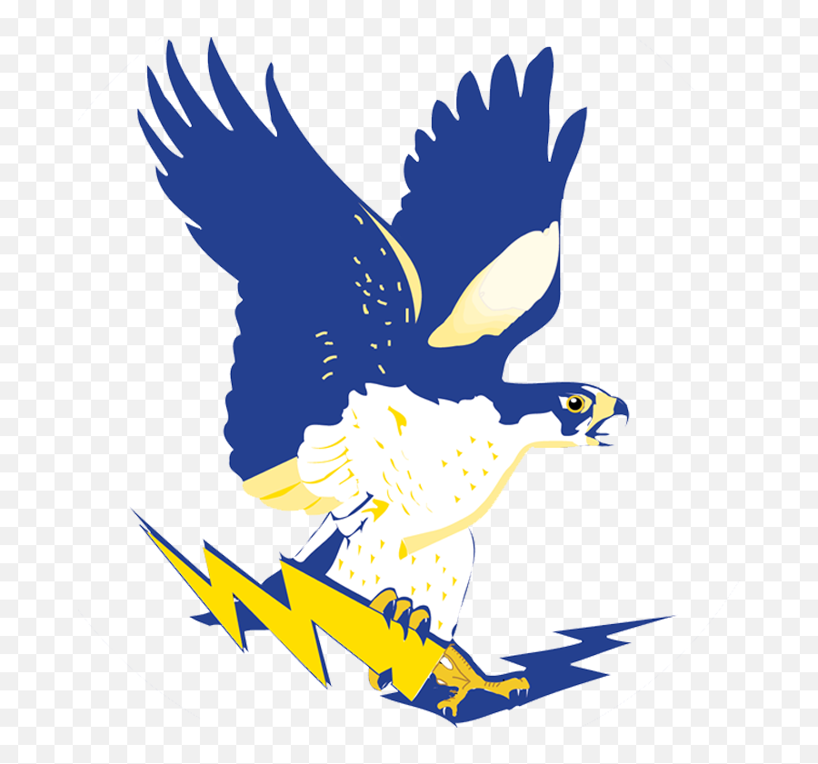 Channelview Falcons - Channelview Falcons Emoji,Falcons Logo