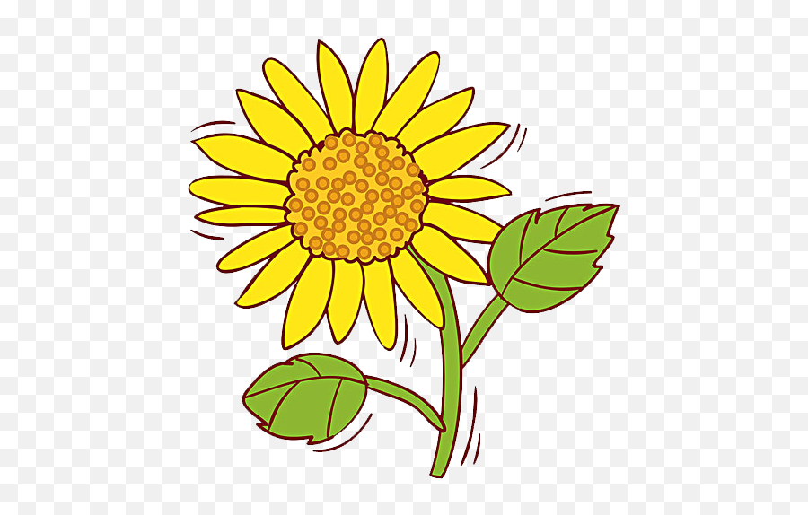 Common Sunflower Clip Art - Sunflower Png Download 600600 Emoji,Sunflower Clipart