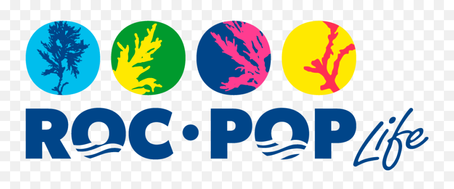 Download Conference Clipart Kickoff - Roc Pop Life Emoji,Meeting Clipart