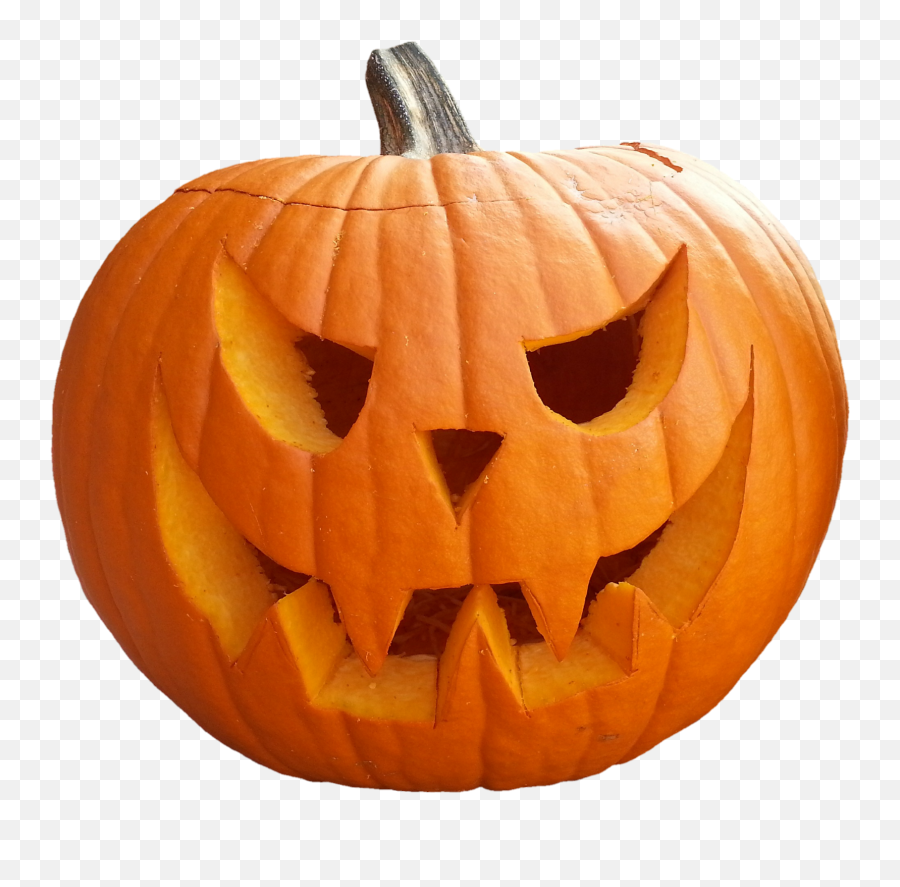 Free Fear Transparent Png Image Graphics Download Png Jungle - Real Halloween Pumpkin Png Emoji,Pumpkin Transparent