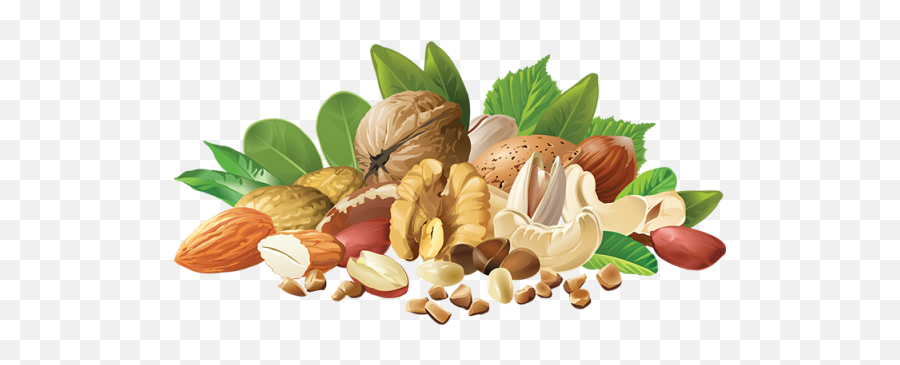 Realistic Different Nuts Realistic - Nuts Png Vector Emoji,Nuts Png