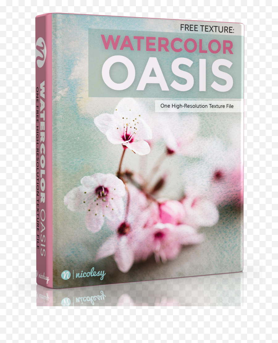 Oasis - Girly Emoji,Watercolor Texture Png