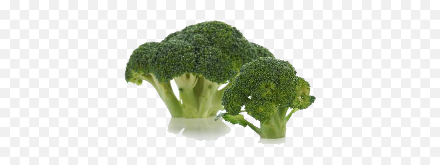 Broccoli Vegetable - Broccoli Buckle Free Image Png Download Broccolini Emoji,Broccoli Png